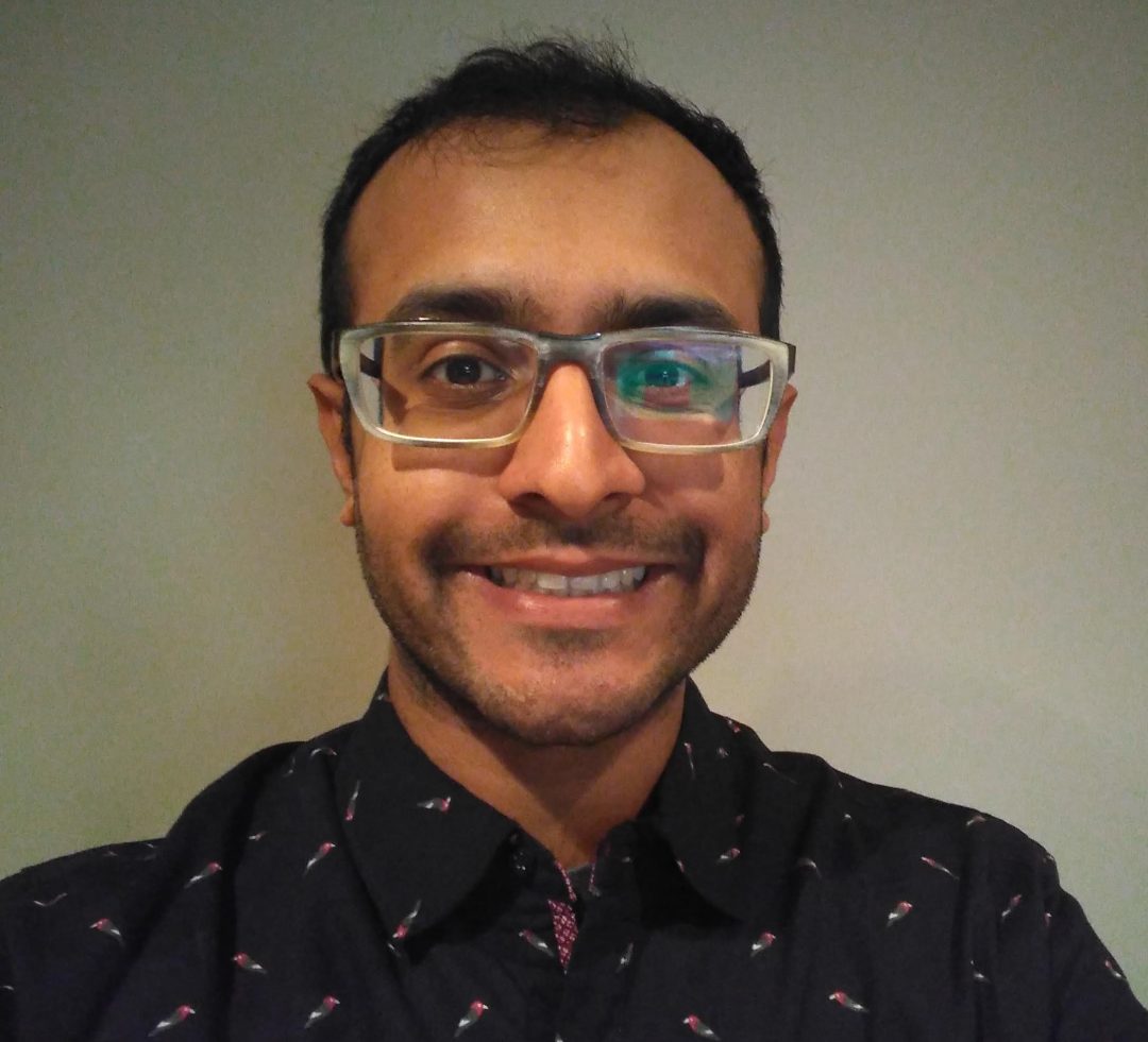 The System Implementation Survival Guide