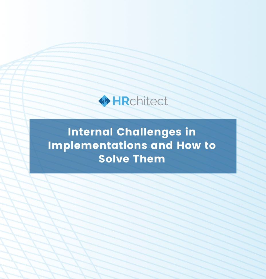 Internal Challenges in Implementations and How to Solve Them