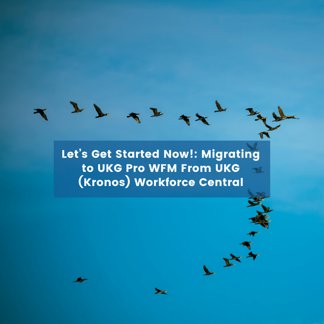birds migrating