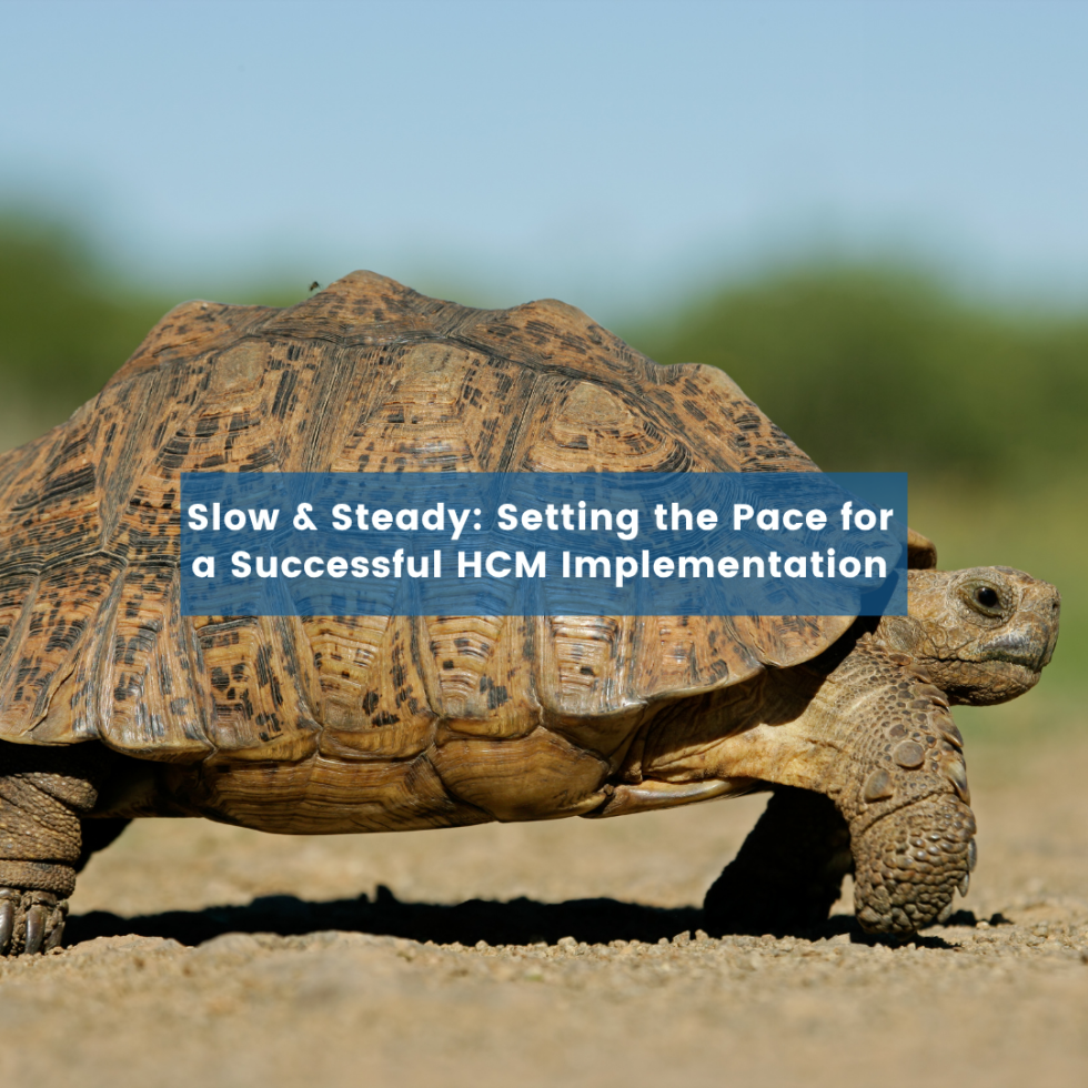 Slow & Steady: Setting the Pace for a Successful HCM Implementation