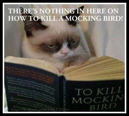 People Generally See What They Look For and Hear What They Listen For