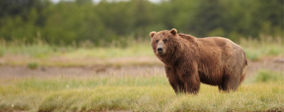 Utah Department of Natural Resources Modernizes Workforce Management with UKG Pro WFM and UKG TeleStaff