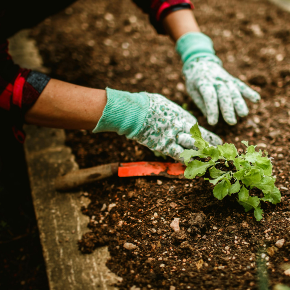 You Reap What You Sow: Proper Planning for HCM Technology