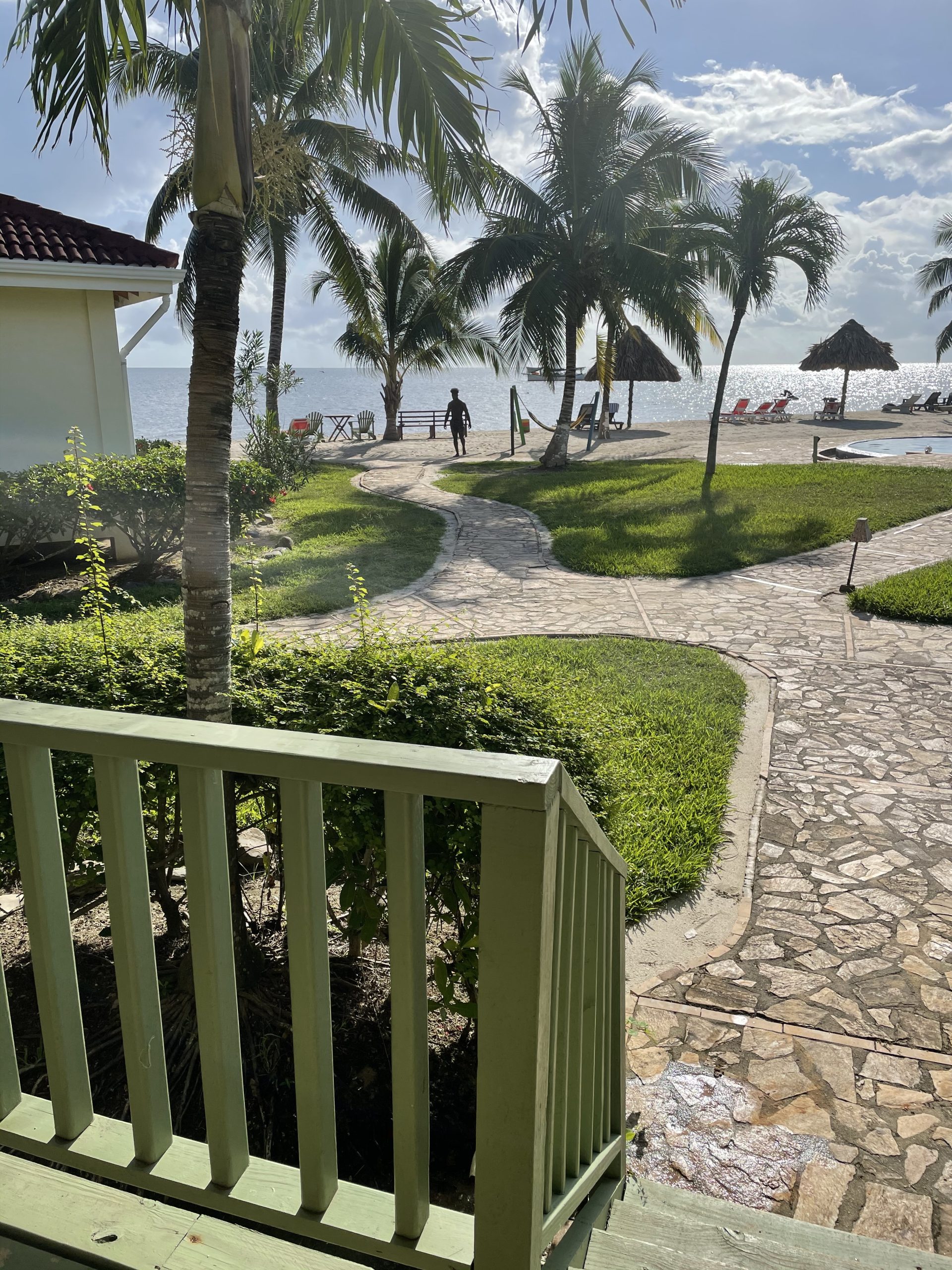 Palm trees and a beachfront view in Belize.